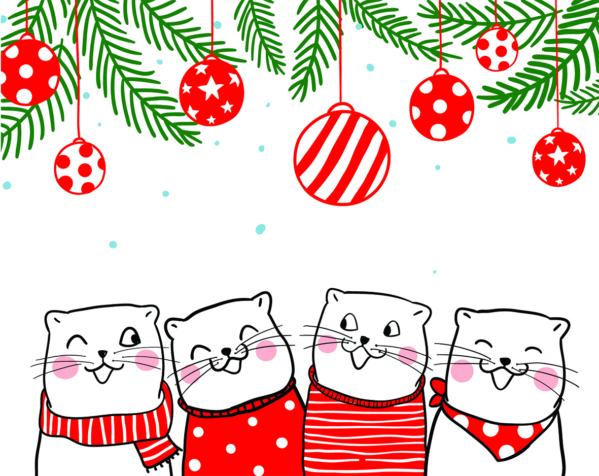Wir wünschen unseren Mitgliedern frohe Weihnachten !.jpg